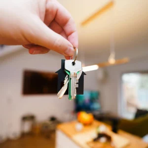 cover-image-pexels-photo-29871187