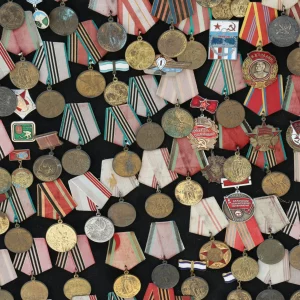 cover-image-pexels-photo-33782025